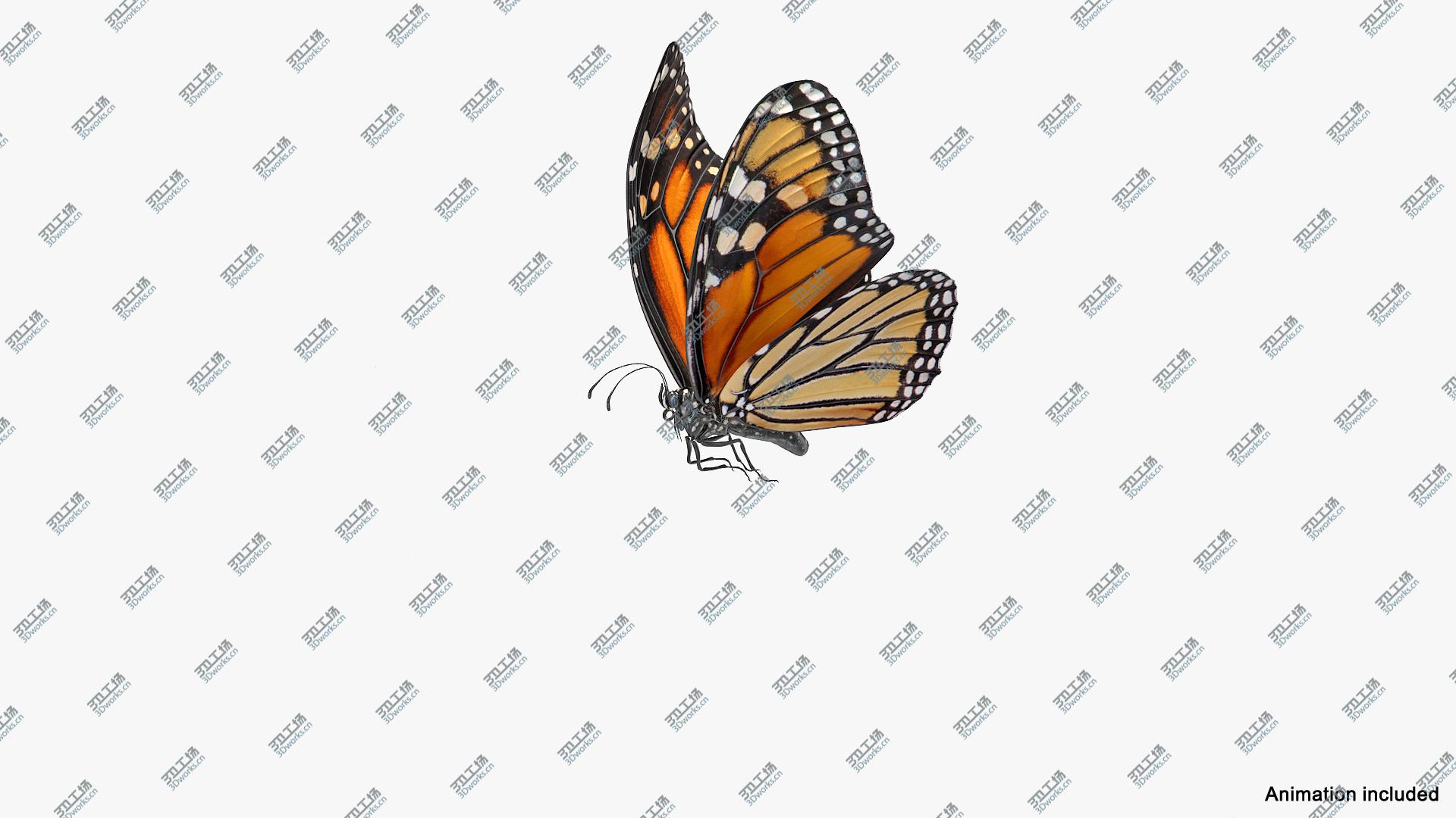 images/goods_img/202104094/Animated Flying Monarch Butterfly Rigged for Cinema 4D 3D model/2.jpg
